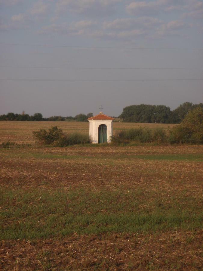 Penzion U Malera Hroznova Lhota Exterior photo